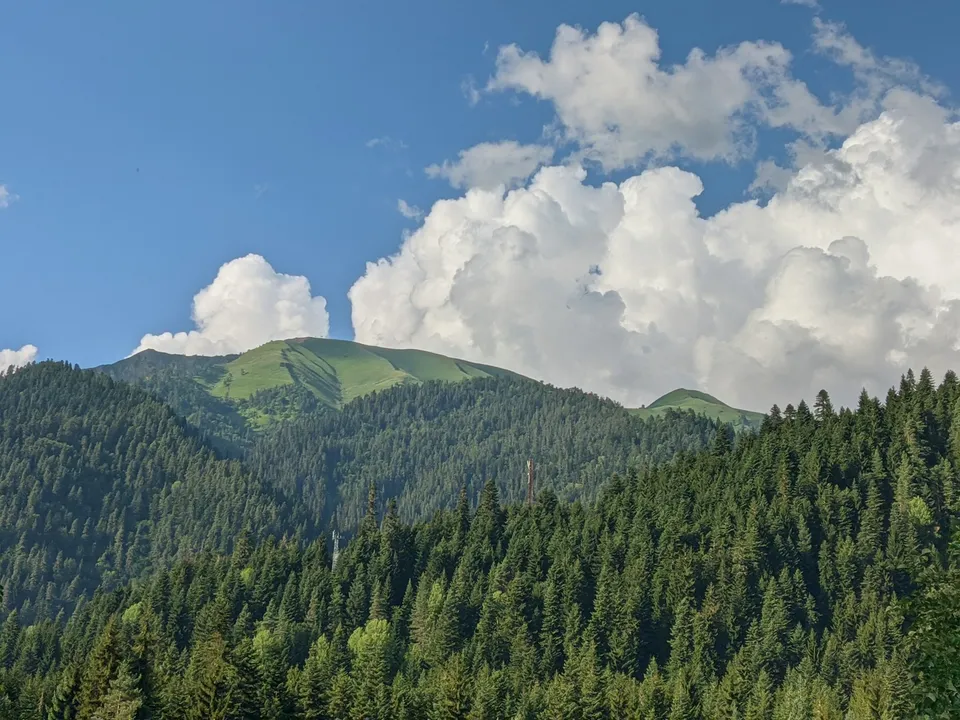 Фото направления