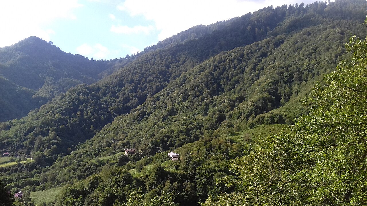 Mtirala National Park Batumi